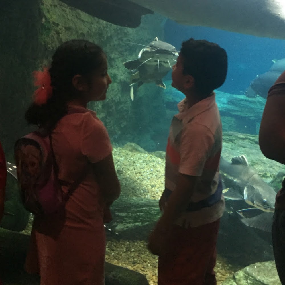 Meet your Posher, Frida